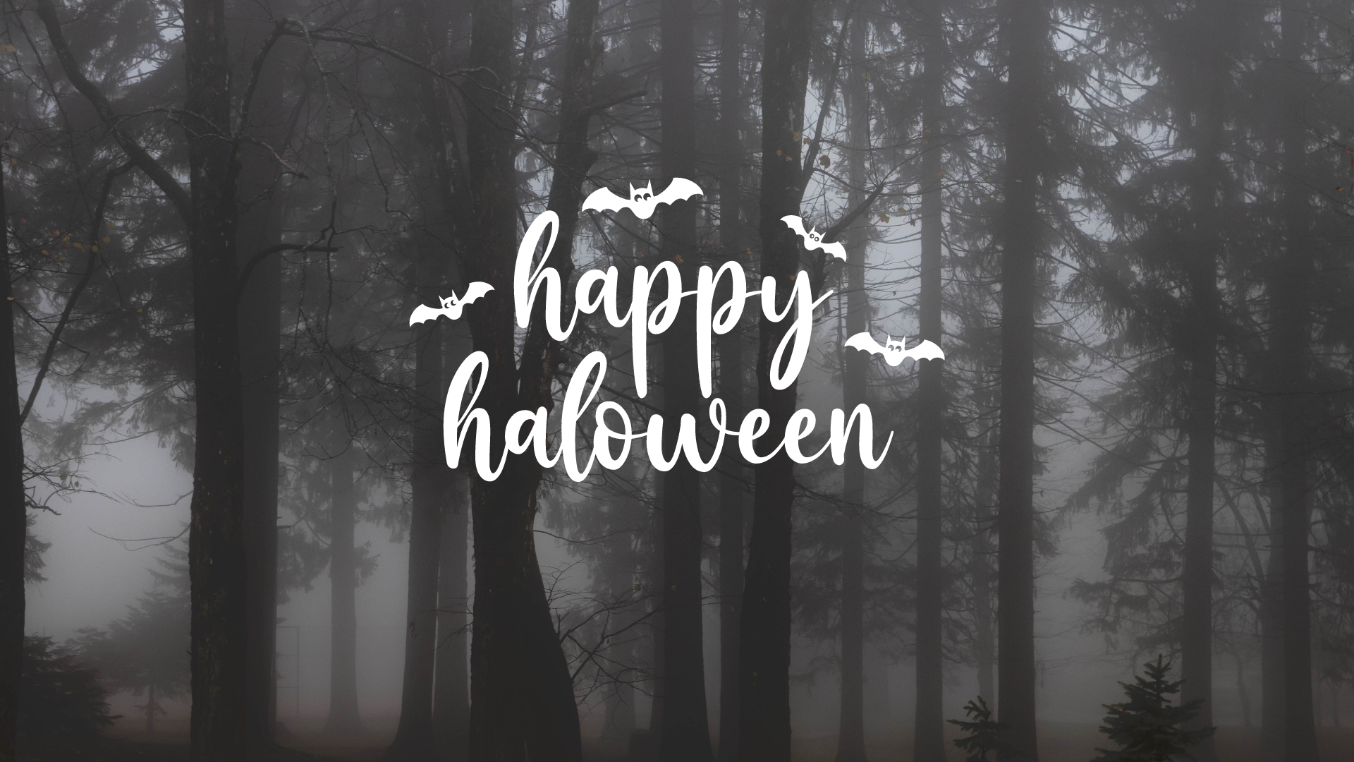 Happy Halloween, Nebelwald, Fledermäuse, Schriftzug, Grau, Full HD, Breitbild-Hintergrundbild