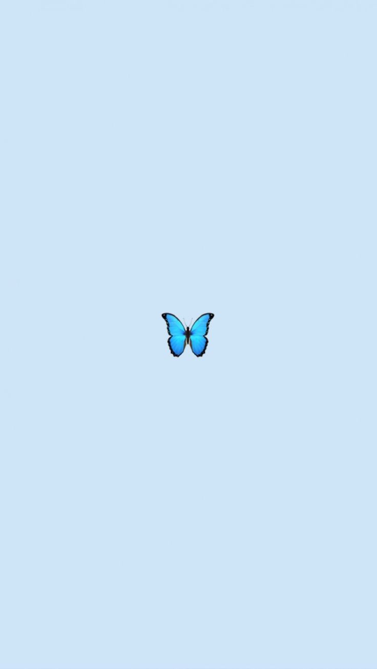 Schmetterling, Hellblauer Hintergrund, Minimalistisch, Blau, Sperrbildschirm fürs iPhone