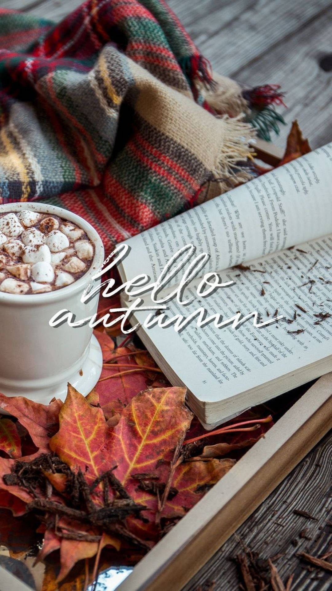 Hello Autumn, Buch, Kakao, Marshmallows, Karodecke, Gemütlich, Full HD, iPhone-Hintergrundbild