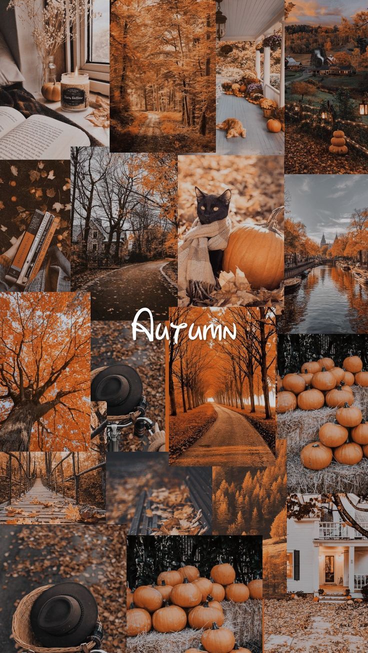 Collage, Autumn, Kürbisse, Ästhetik, Braun, Hochformat, Hintergrundbild fürs Smartphone