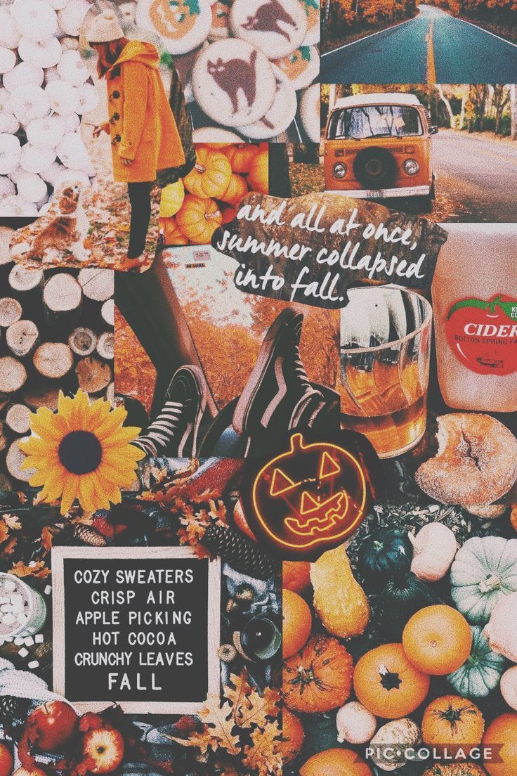 Collage, Sonnenblume, Kürbisse, Cozy Sweaters, Ästhetik, Hintergrundbild fürs Handy