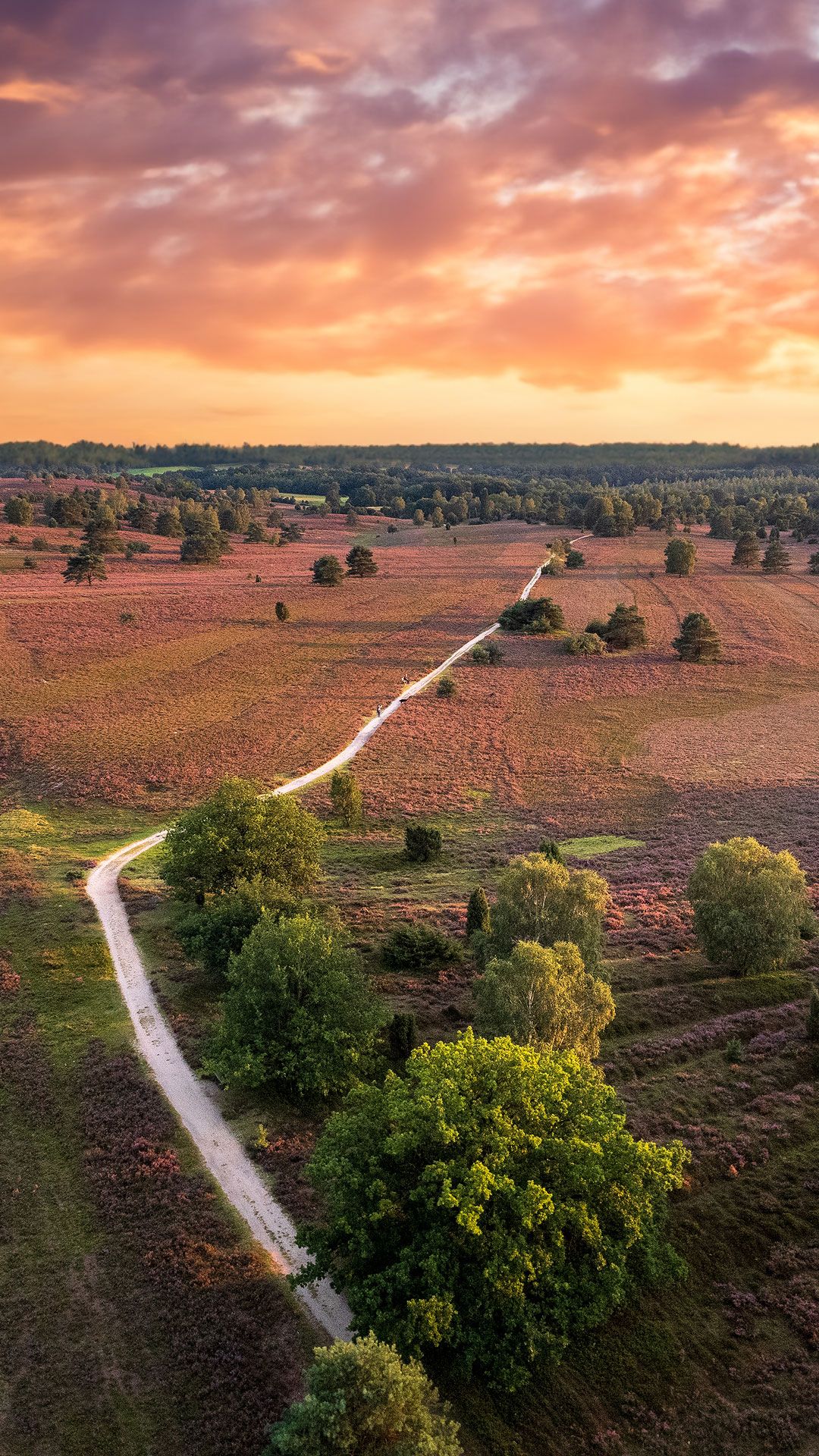 Heidelandschaft, Sonnenuntergang, Feldweg, Luftaufnahme, Weite, Android-Hintergrundbild