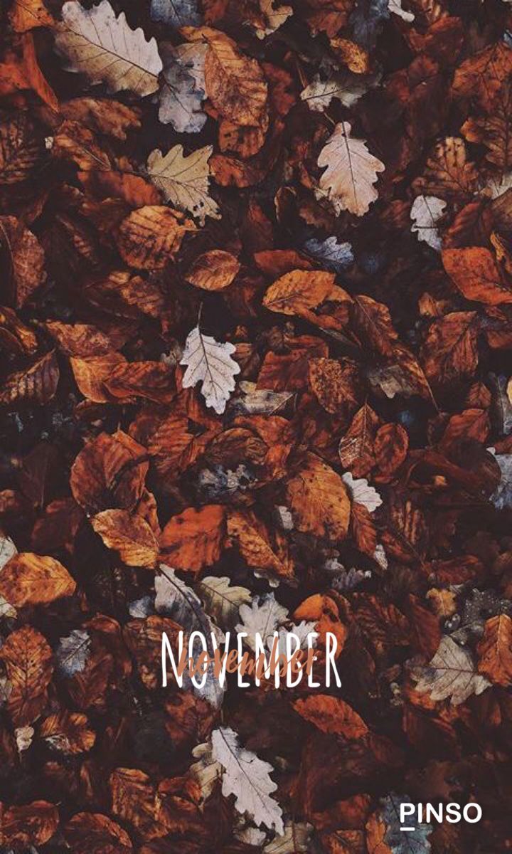 November, Laub, Braun, Schriftzug, Draufsicht, HD, Hintergrundbild fürs Handy