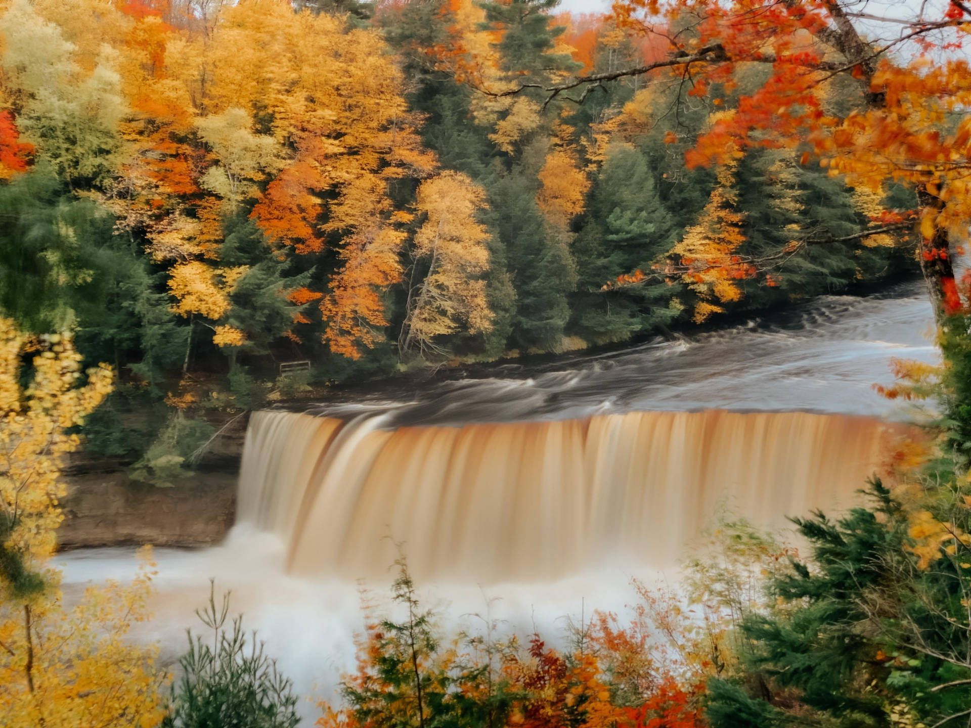 Tahquamenon Falls, Michigan, USA, Wasserfall, Herbstwald, Fluss, Full HD, iPad-Hintergrundbild
