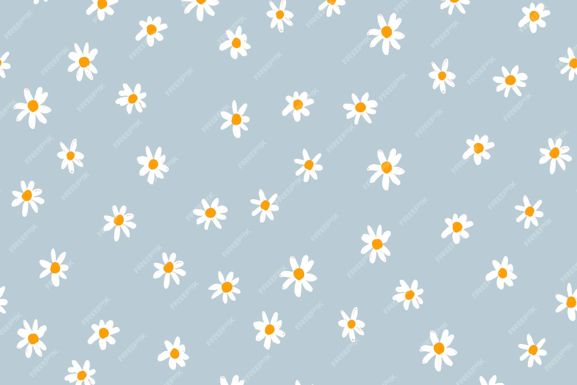 Gänseblümchen, Blumenmuster, Hellblau, Muster, Full HD, Desktop-Hintergrund für Windows