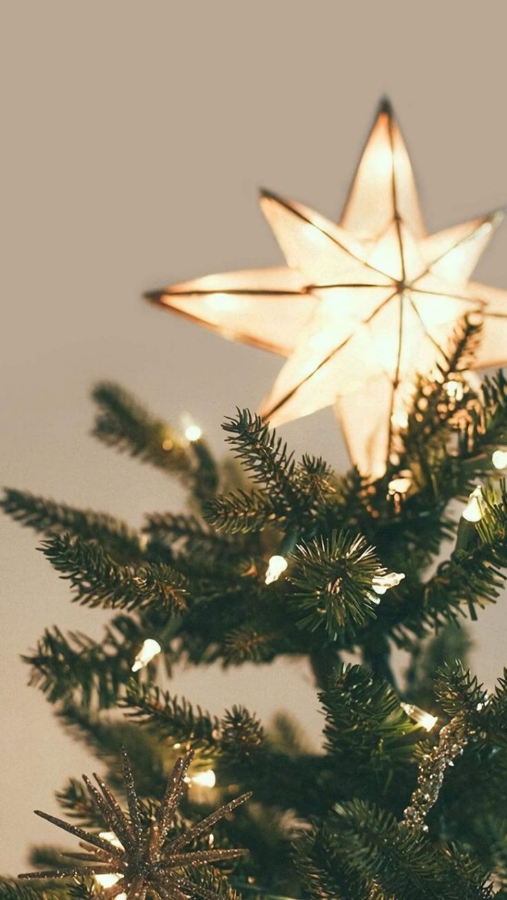 Weihnachtsstern, Baumspitze, Tannenbaum, Lichterkette, Beige, HD, Handy-Hintergrund