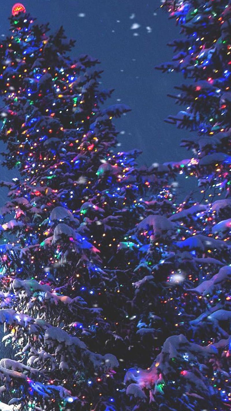 Weihnachtsbaum, Blaue Lichter, Abend, Funkeln, Hintergrundbild für iPhone und Android