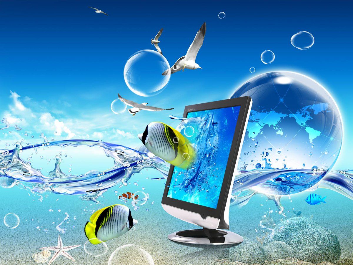 Monitor, Fische, Möwen, Wasserblasen, Unterwasser, Fotomontage, Hintergrundbild fürs Tablet