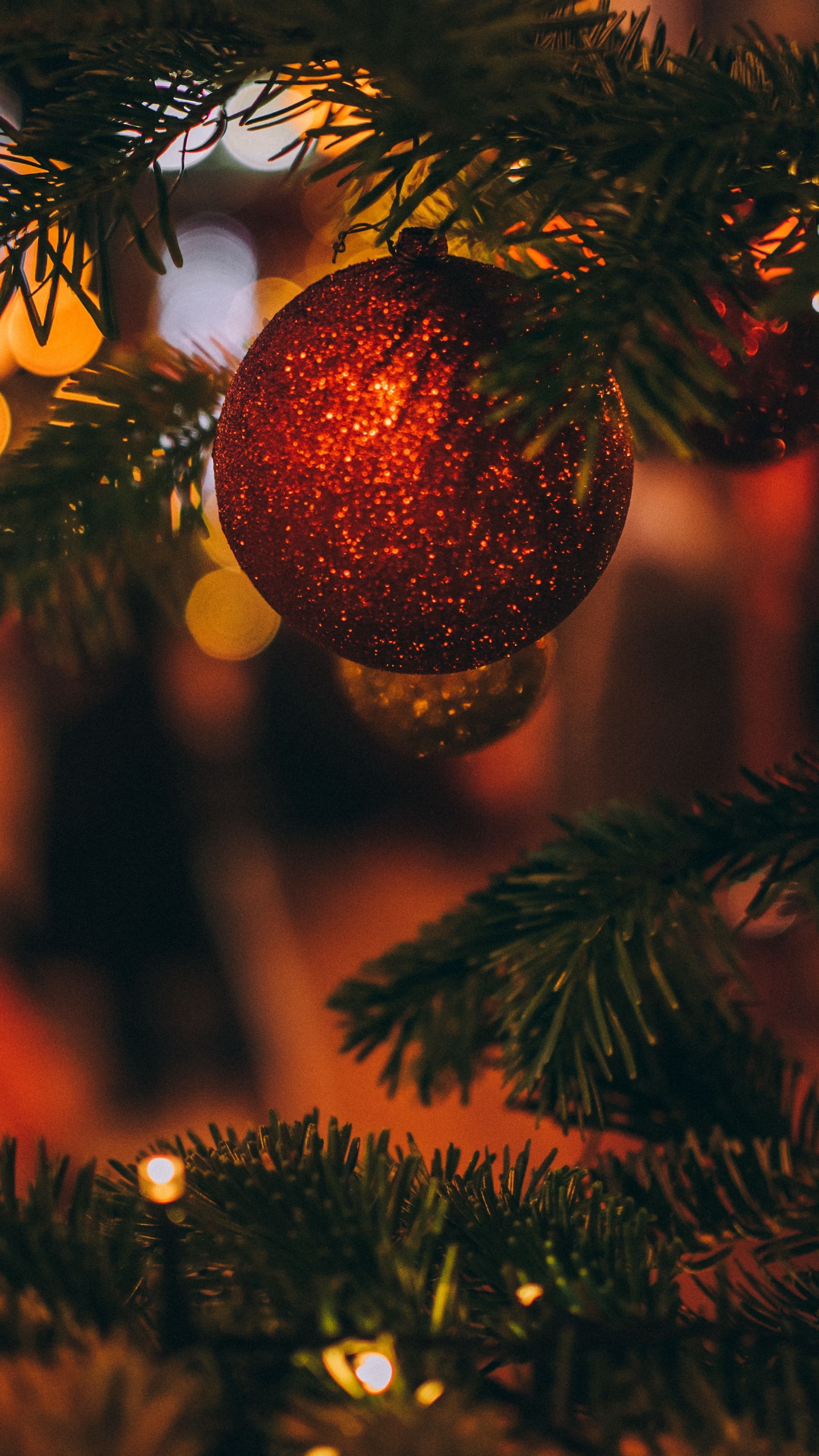 Rote Kugel, Tannenzweige, Bokeh, Warmes Licht, Nahaufnahme, QHD+, Handy-Hintergrundbild