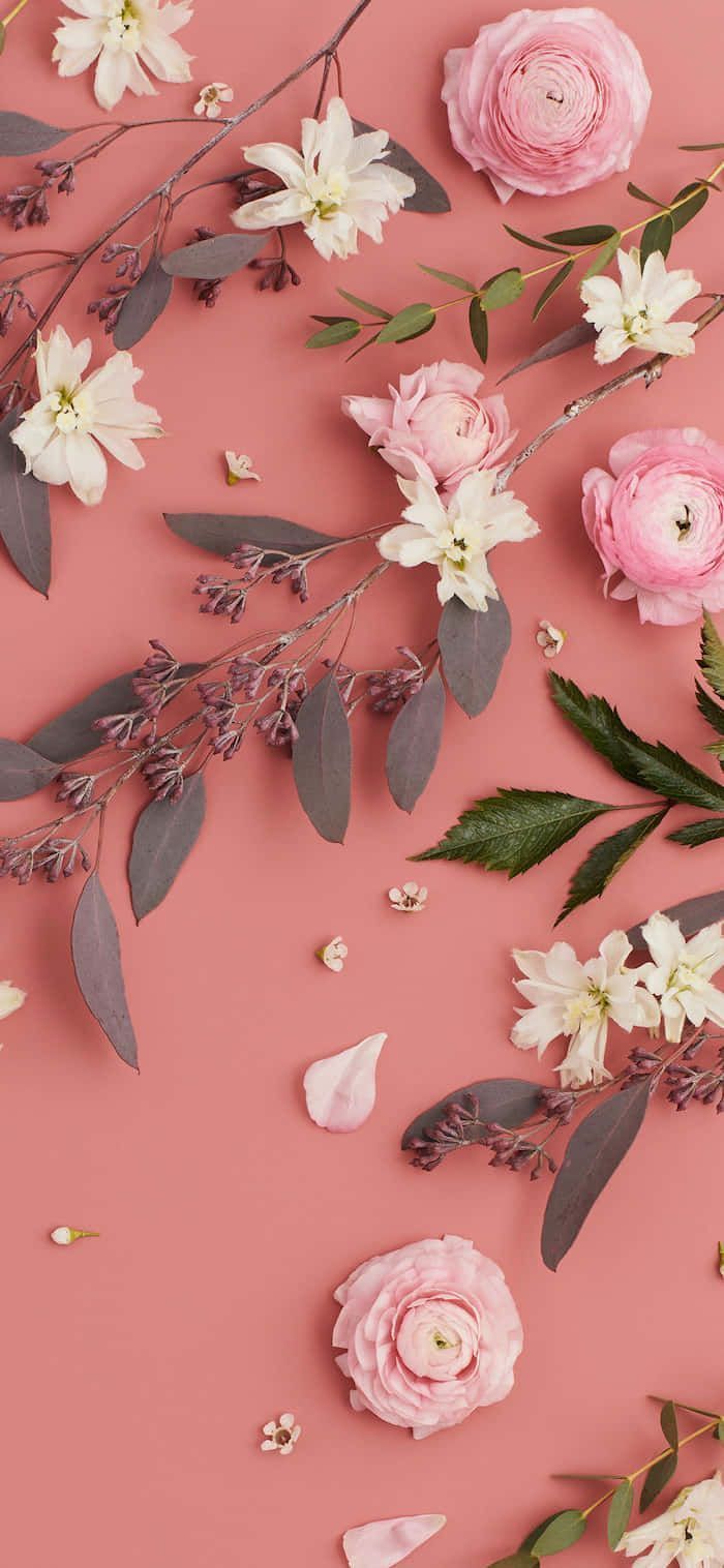 Rosen, Weiße Blüten, Flatlay, Korallenrosa, Blumen, Hintergrundbild für iPhone und Android