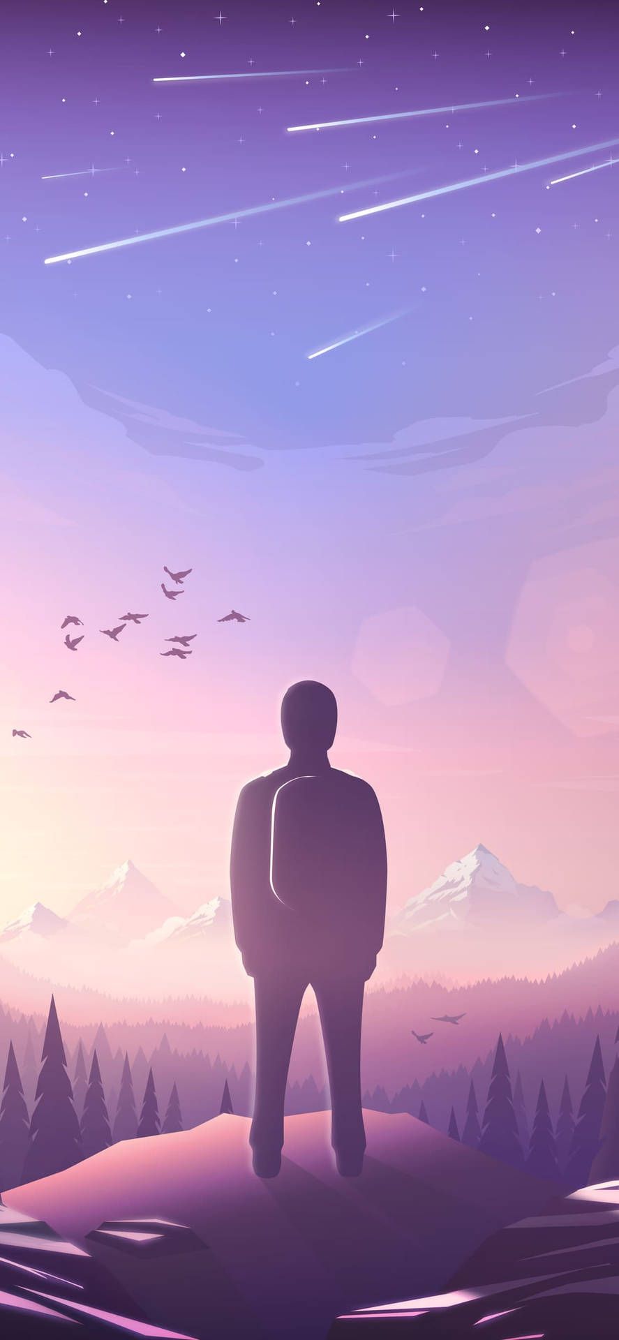 Silhouette, Mann, Sternschnuppen, Vögel, Lila Himmel, Berge, HD, Handy-Hintergrundbild