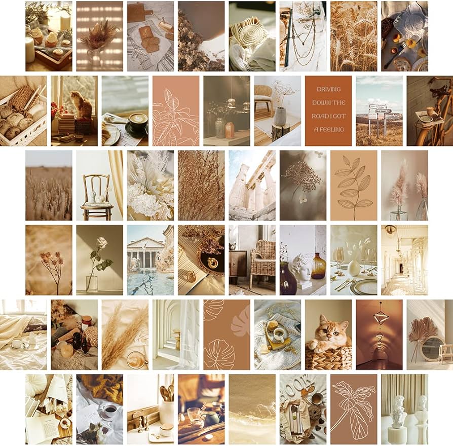 Collage, Beige Ästhetik, Fotowand, Trockenblumen, Erdtöne, Hintergrundbild fürs Tablet