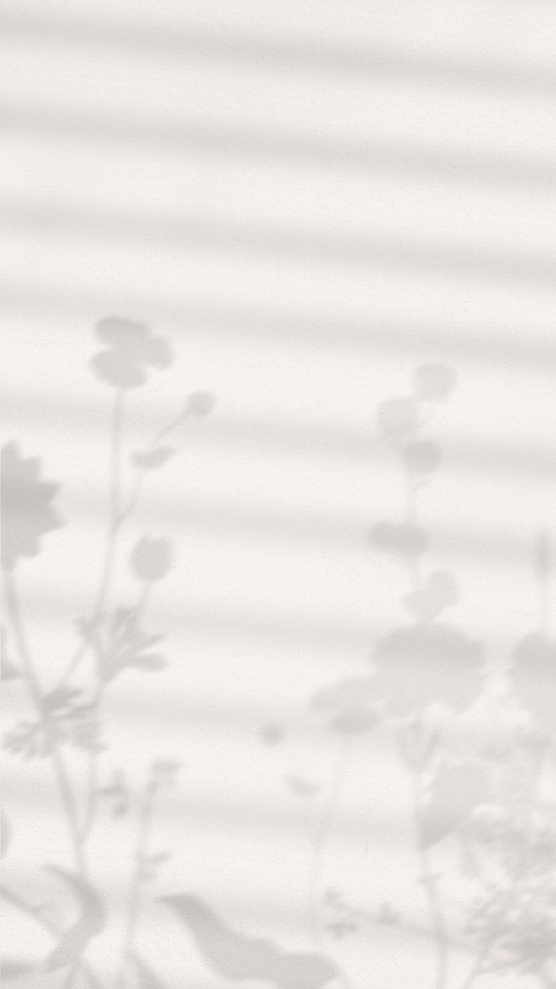 Schattenspiel, Blumenschatten, Weiß, Minimalistisch, Grau, HD, iPhone-Hintergrundbild