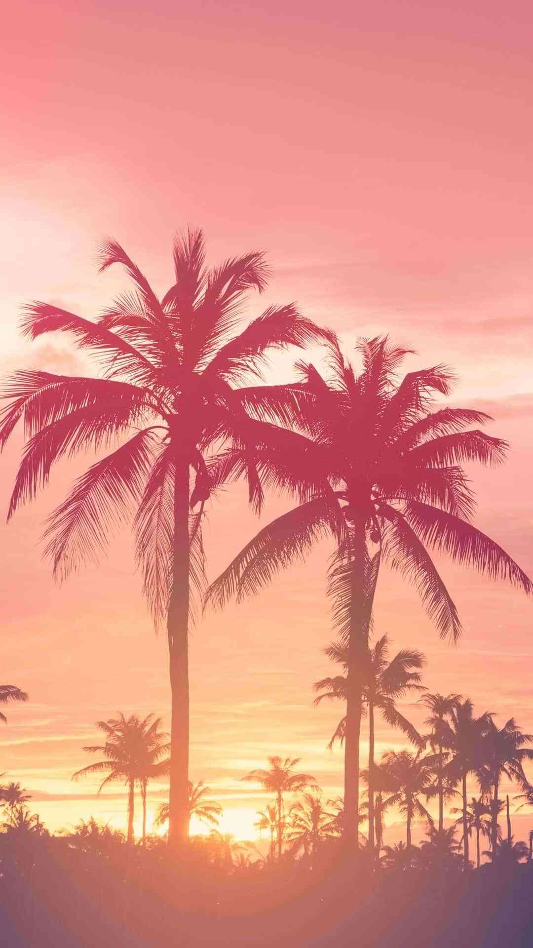 Palmen, Silhouetten, Rosa, Tropen, Pastellfarben, Minimalistisch, Full HD, Handy-Hintergrundbild