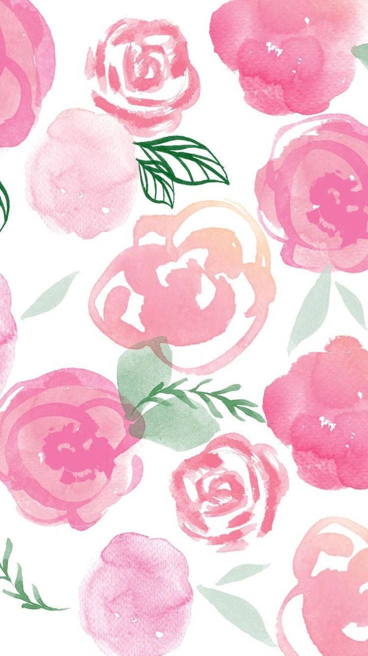 Rosa Rosen, Aquarell, Blumenmuster, Weißer Hintergrund, HD, Sperrbildschirm fürs iPhone