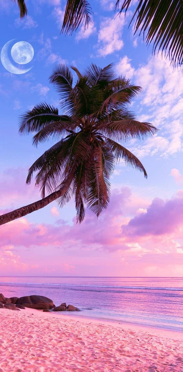 Palme, Lila Himmel, Mond, Rosa Strand, Fantasie, Hintergrundbild für iPhone und Android