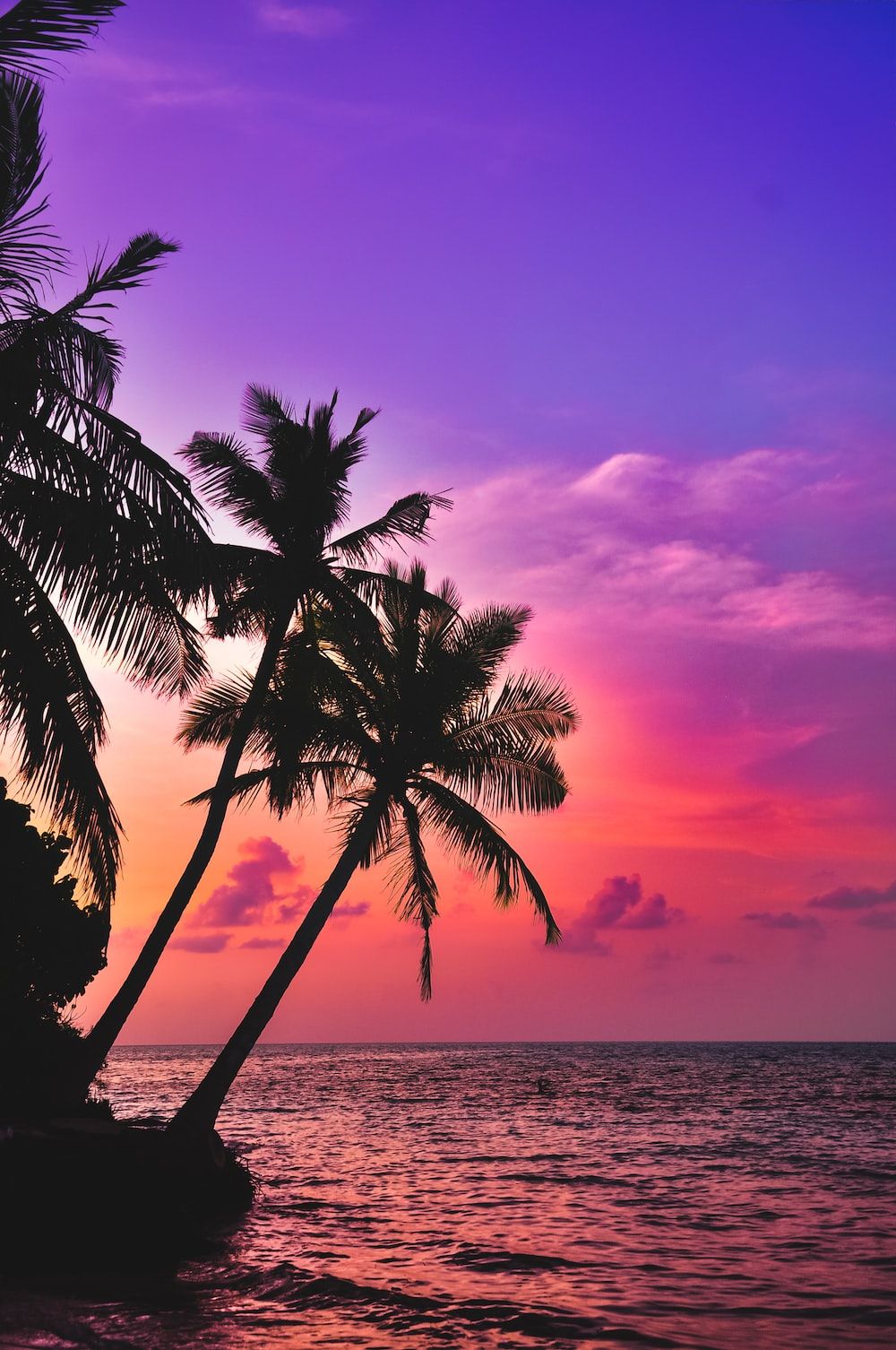 Palmen-Silhouette, Lila Himmel, Sonnenuntergang, Meer, Tropen, HD, Handy-Hintergrundbild