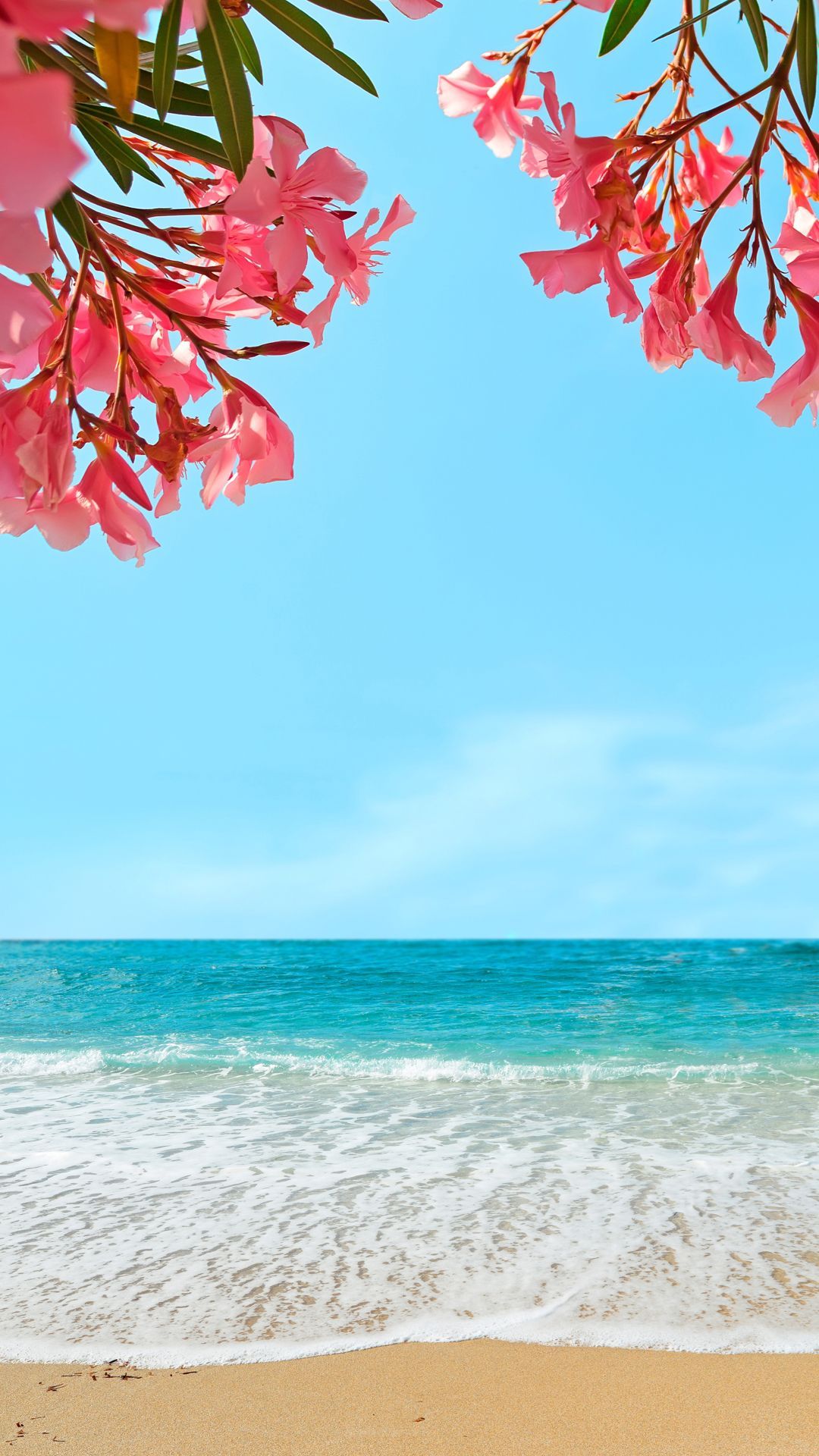Oleanderblüten, Strand, Blauer Himmel, Türkises Meer, Sommer, Hintergrundbild fürs Handy