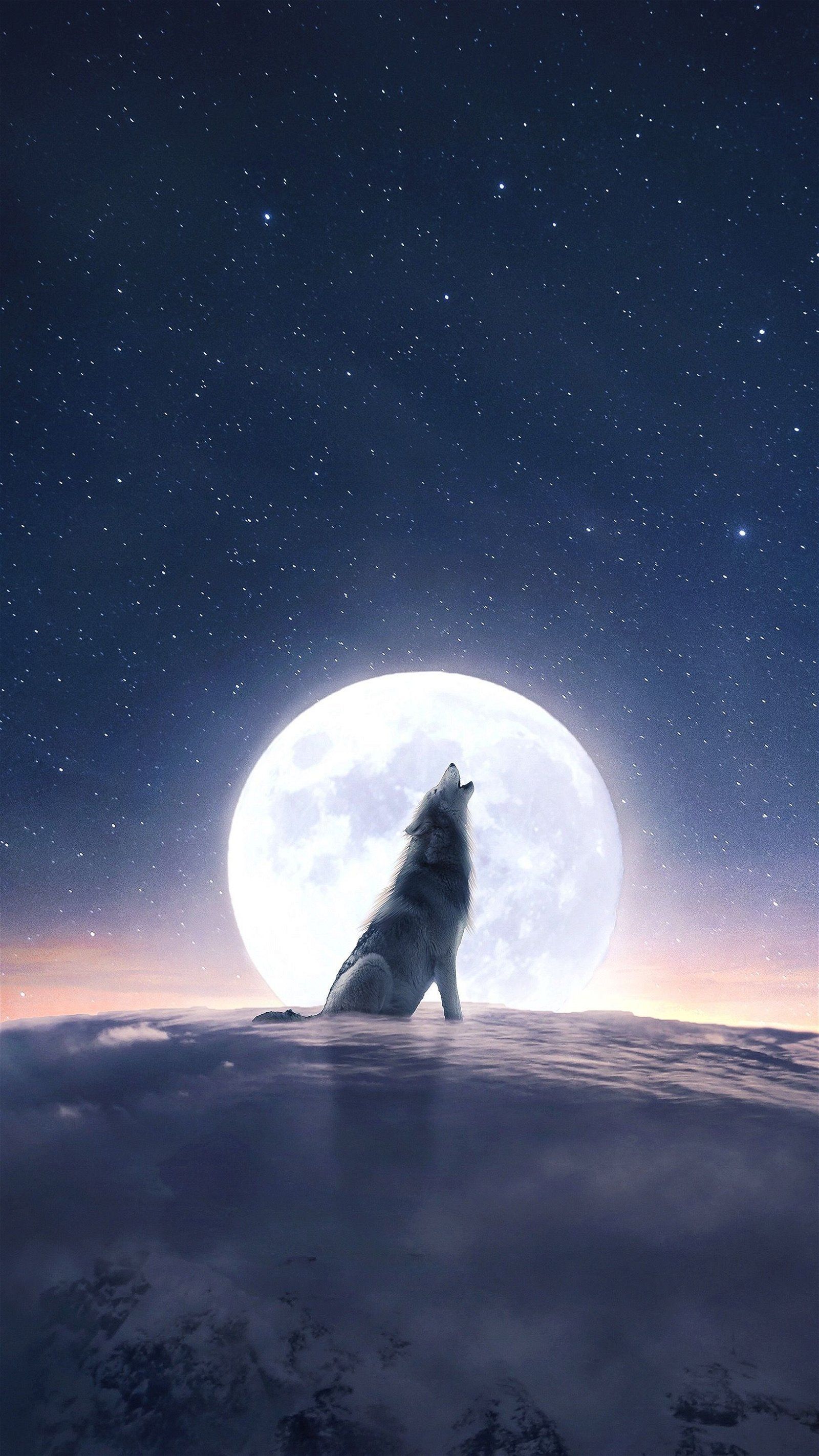 Heulender Wolf, Vollmond, Silhouette, Nacht, Sternenhimmel, Android-Hintergrundbild