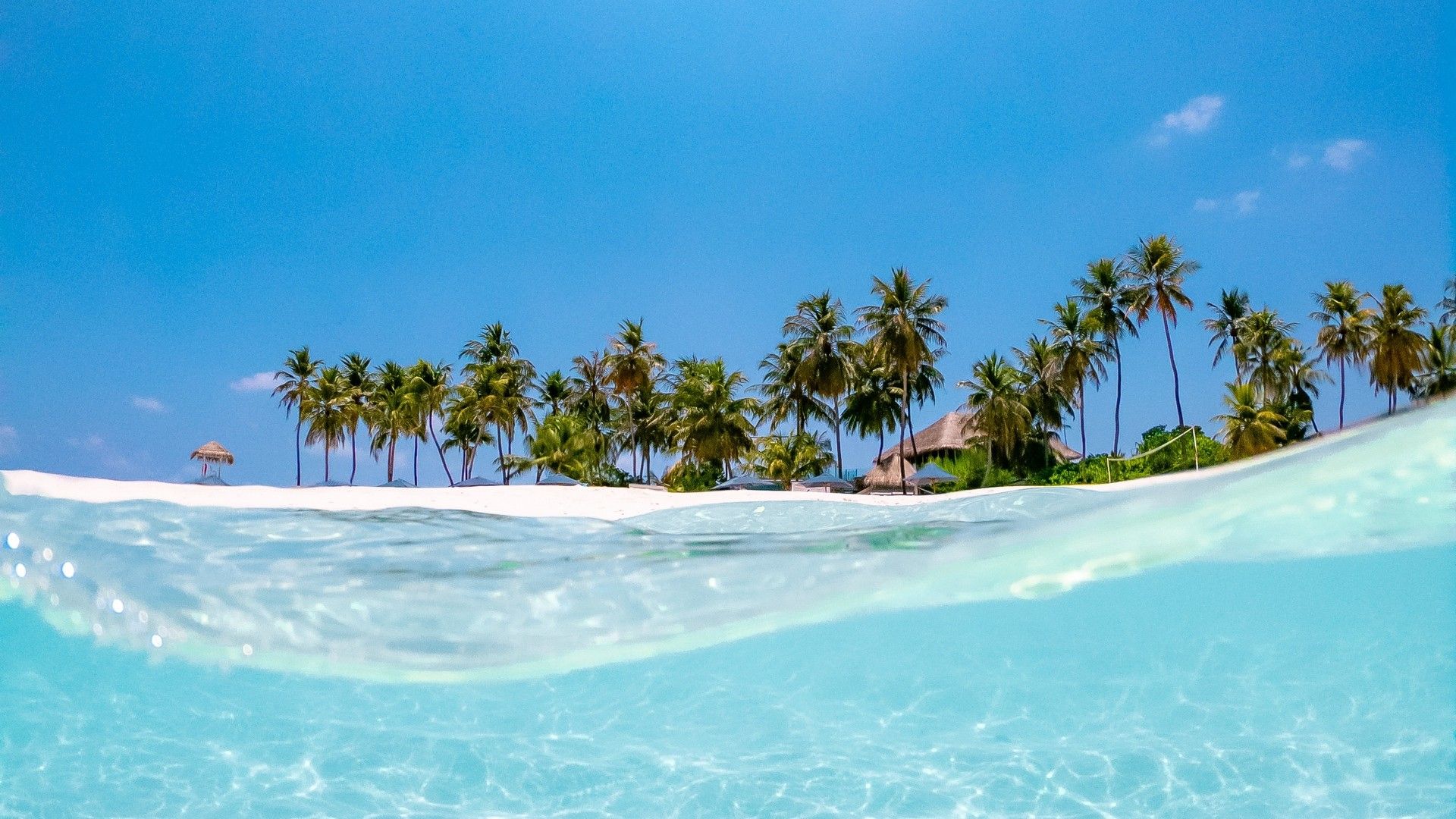 Palmeninsel, Welle, Türkises Wasser, Blauer Himmel, Halb unter Wasser, Full HD, Windows-Hintergrundbild