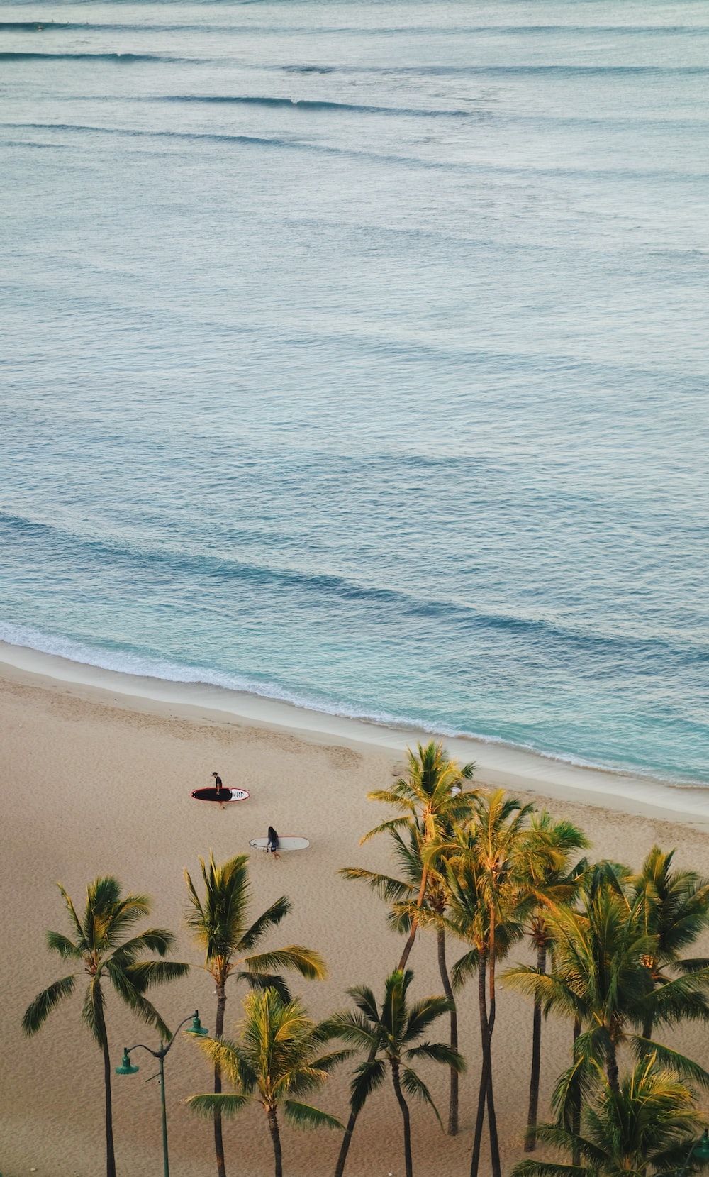 Strand, Palmen, Luftaufnahme, Meer, Sand, HD, Hintergrundbild fürs Handy