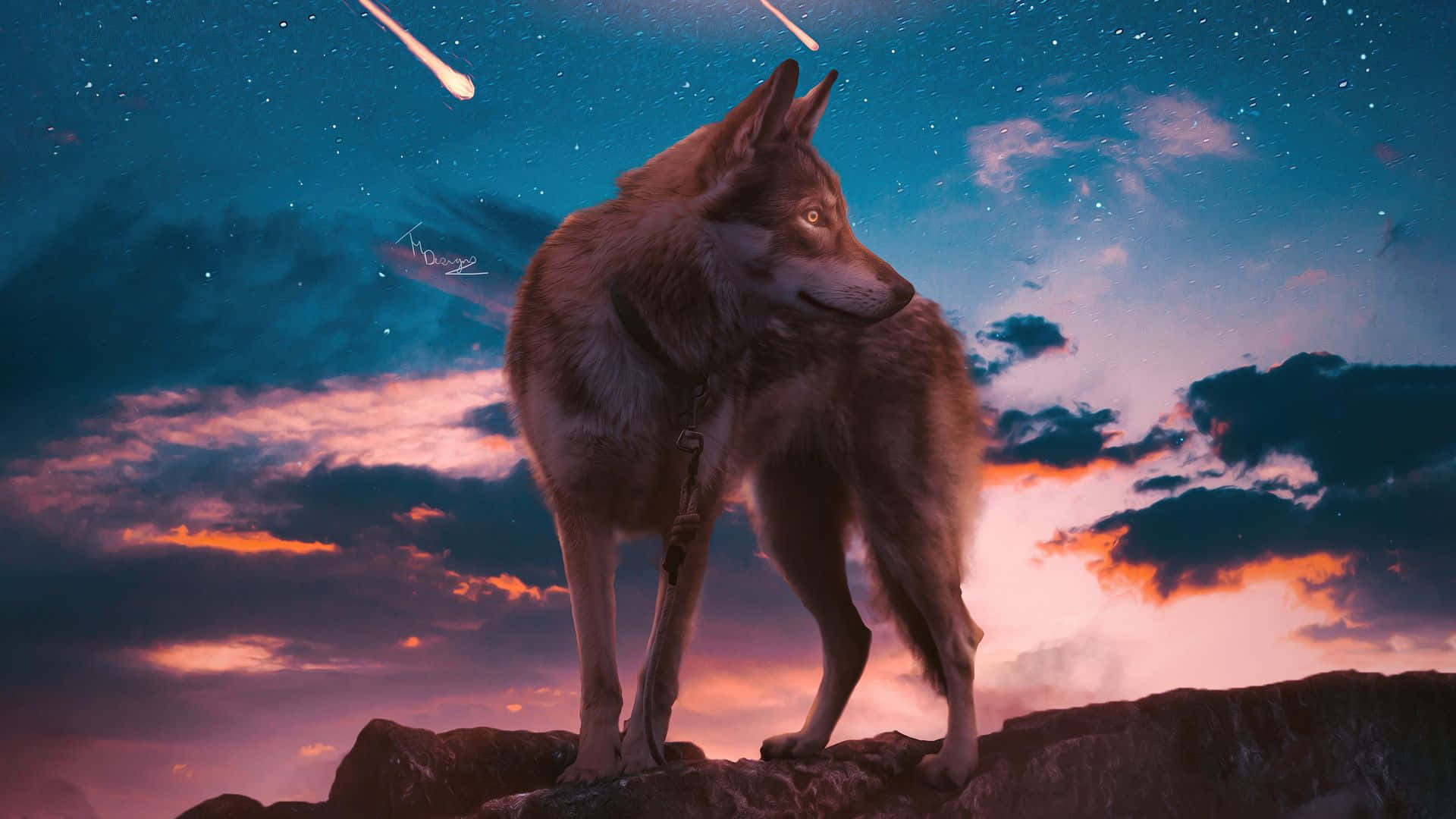 Wolf, Sternschnuppe, Felsen, Abendhimmel, Digitale Kunst, Full-HD-Hintergrundbild für PC