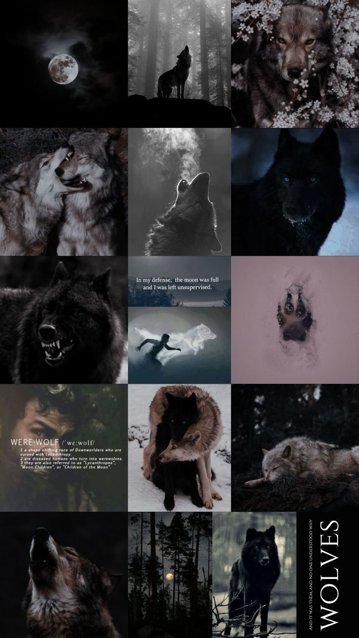 Collage, Wolves, Wölfe, Schwarz-Weiß, Düster, HD, Handy-Hintergrund im Hochformat