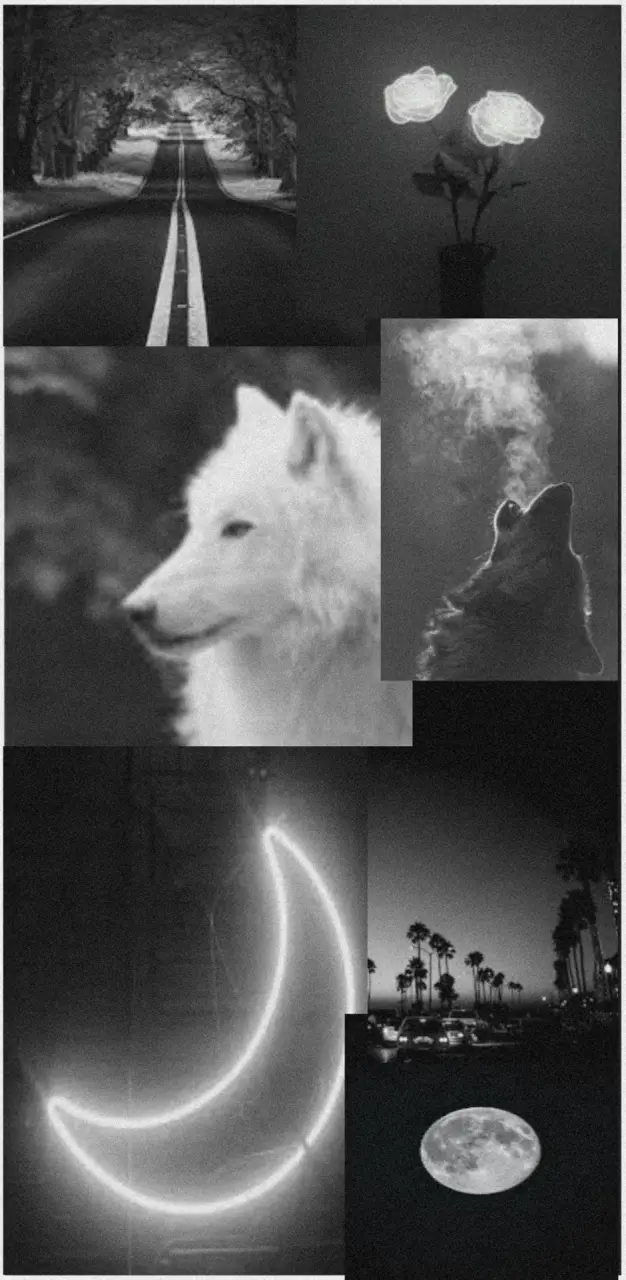 Collage, Weißer Wolf, Mondsichel, Schwarz-Weiß, Ästhetik, Hintergrundbild fürs Handy