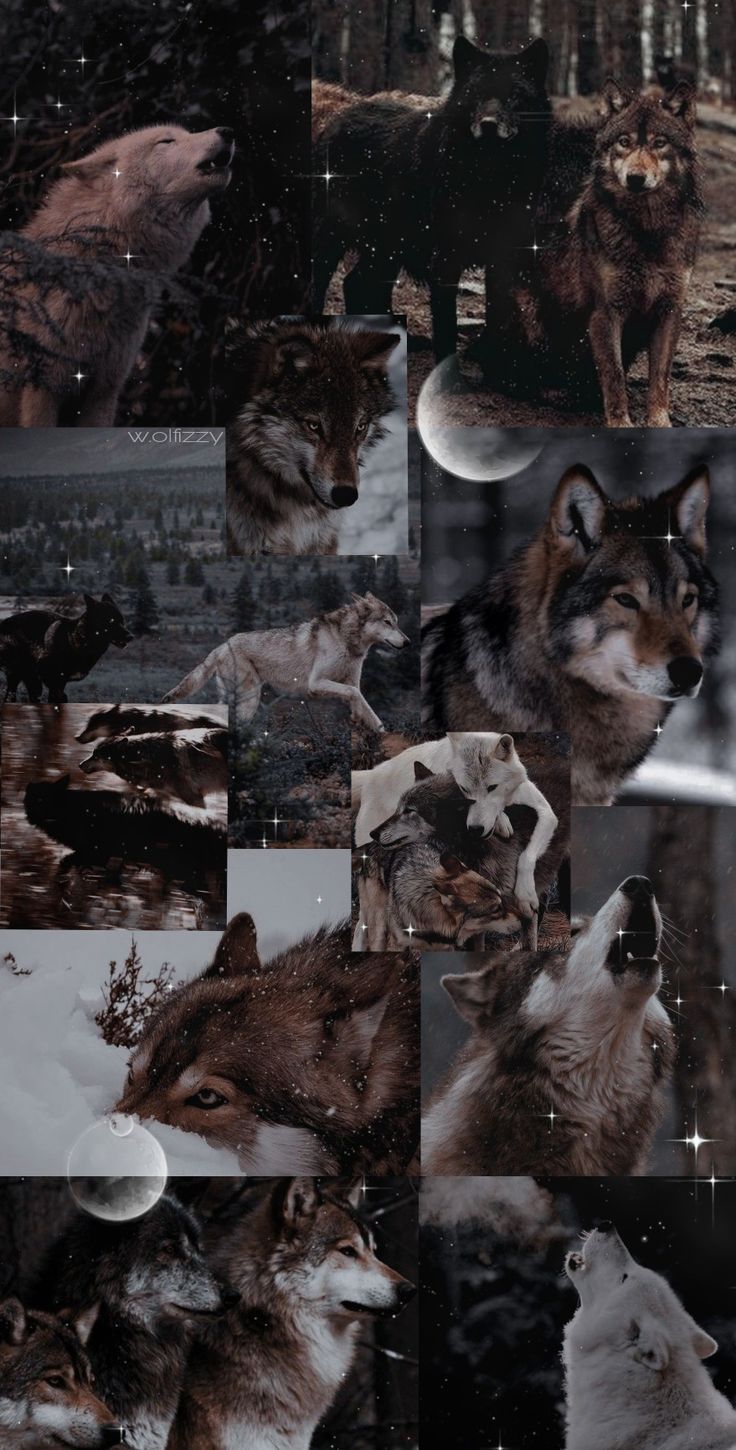 Collage, Wölfe, Mond, Düster, Braune Töne, HD, Hintergrundbild fürs Handy