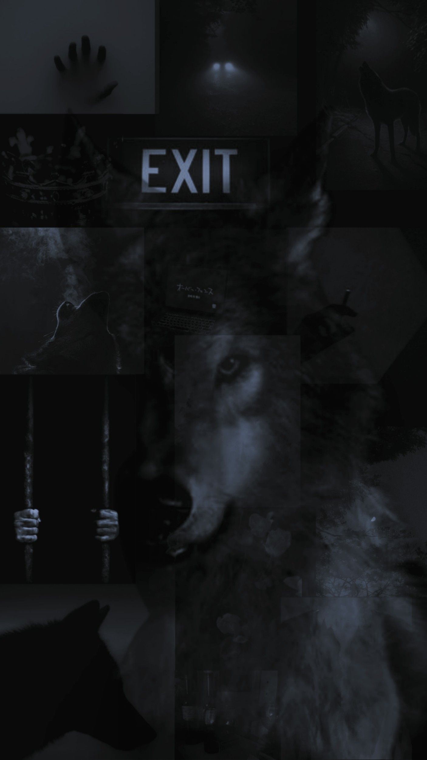 Wolf, Exit-Schild, Dunkel, Düster, Schatten, Hochformat, Hintergrundbild fürs Smartphone