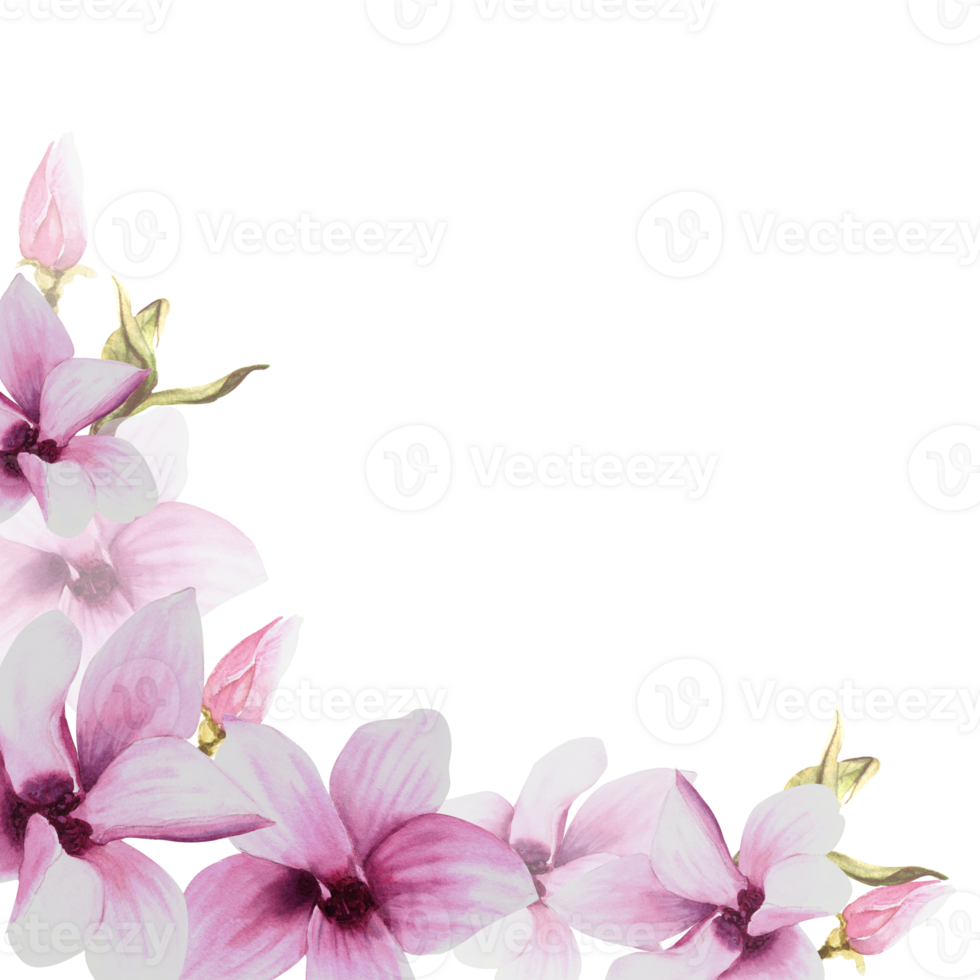 Orchideen, Rosa Blüten, Schwarzer Hintergrund, Wasserzeichen, Wallpaper