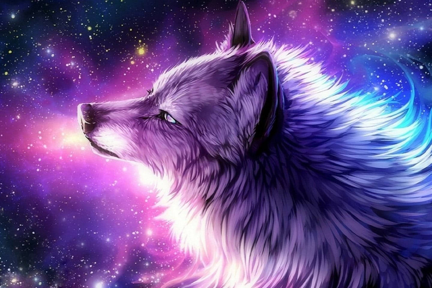 Wolf, Galaxie, Lila und Blau, Fantasy, Sterne, HD, Desktop-Hintergrund für Windows