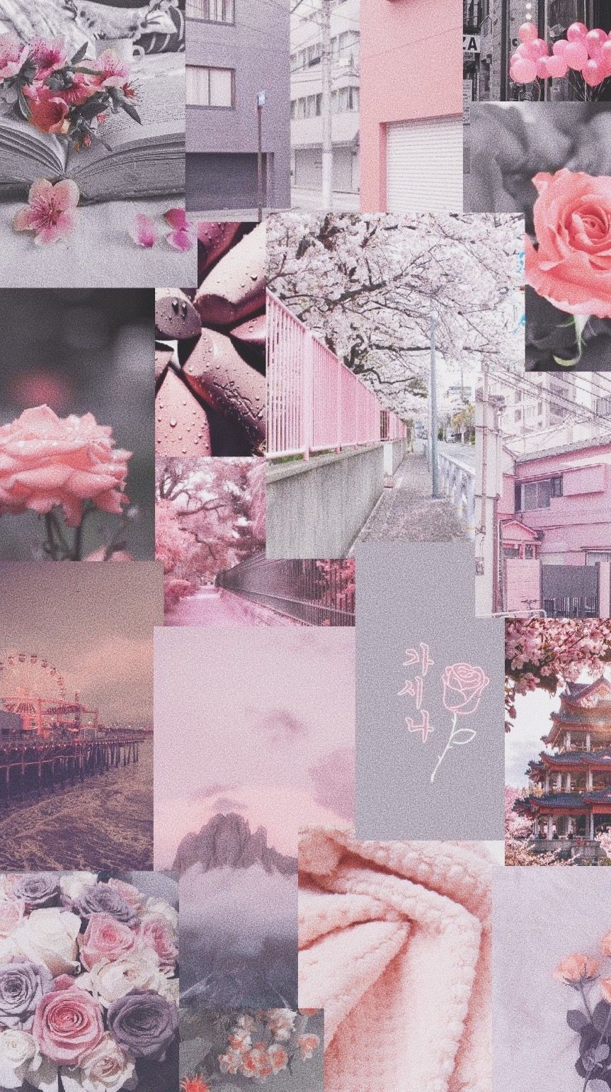 Collage, Rosa, Moodboard, Grau, Blumen, HD, Hintergrundbild fürs Handy