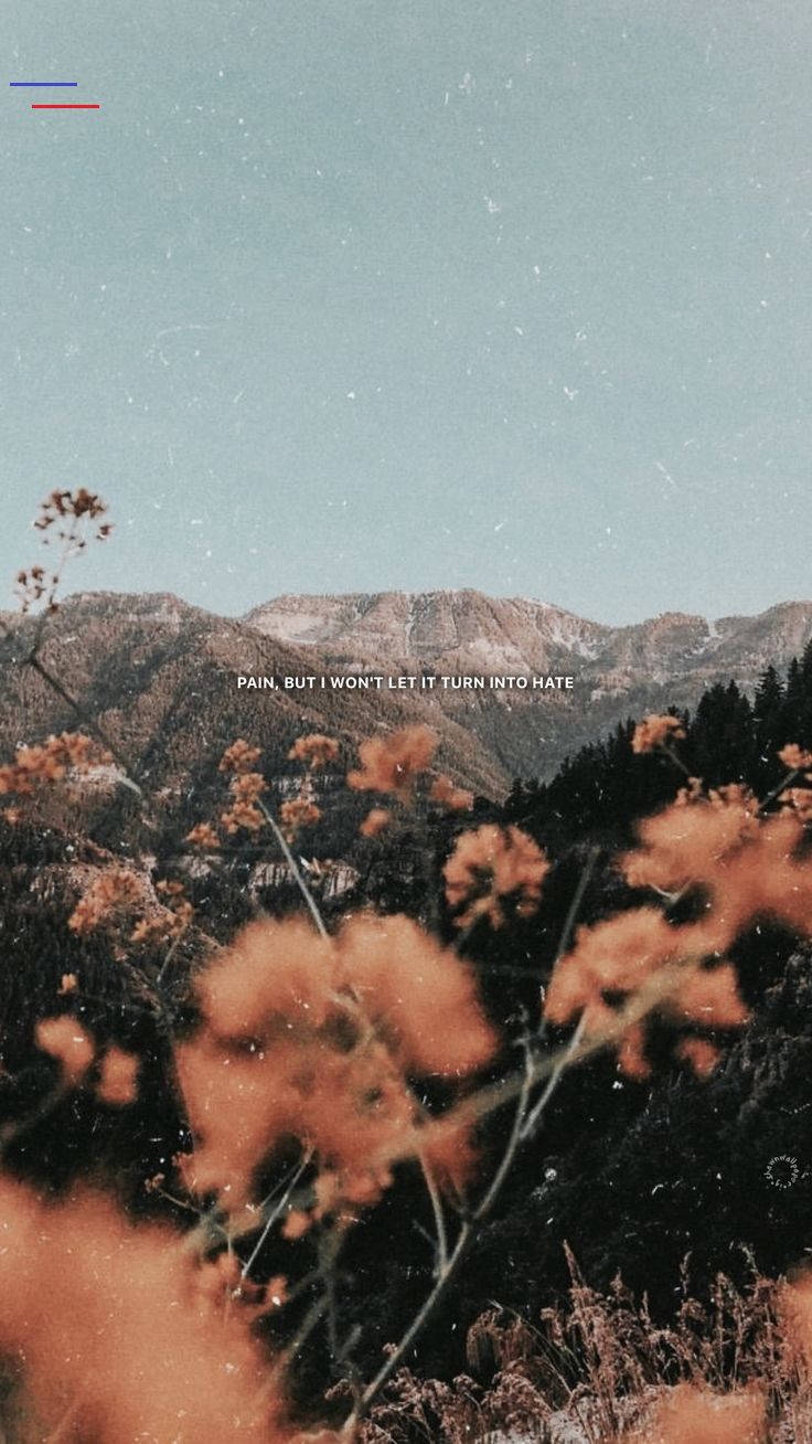 Wildblumen, Berge, Landschaft, Herbst, Himmel, iPhone 17e, Handy-Hintergrundbild