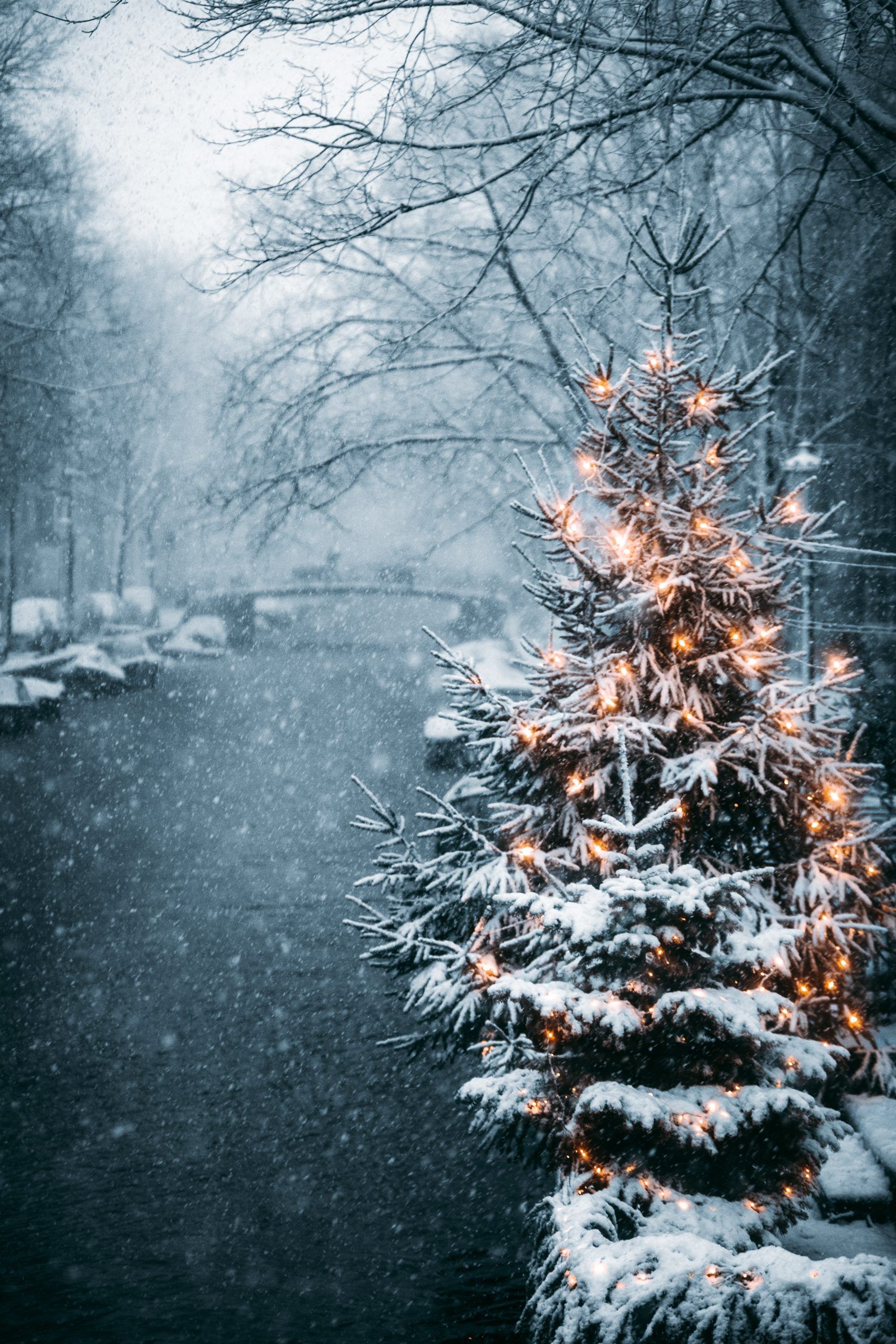 Weihnachtsbaum, Lichterkette, Verschneiter Fluss, Schneefall, Winterwald, Nebel, Tablet-Hintergrundbild