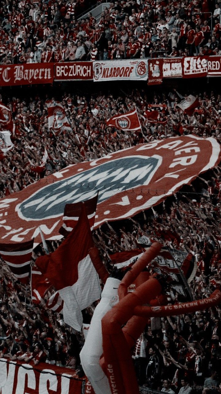 FC Bayern München, Fankurve, Riesenfahne, Choreografie, HD, Hintergrundbild fürs Handy
