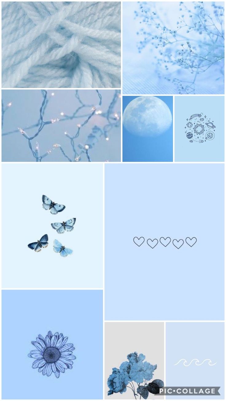 Collage, Hellblaue Ästhetik, Schmetterlinge, Blumen, HD, Hintergrundbild fürs Handy