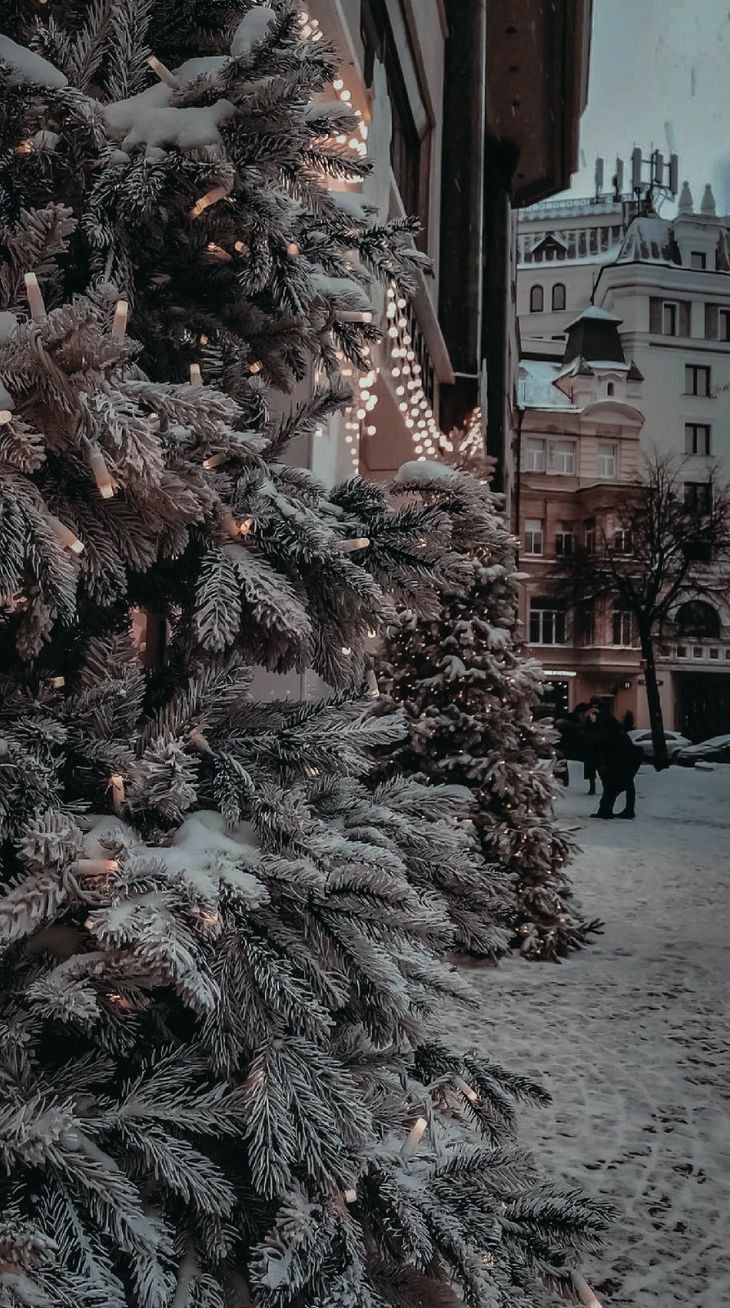 Verschneite Tannen, Stadtstraße, Schnee, Winter, Kühle Töne, HD, iPhone-Hintergrundbild