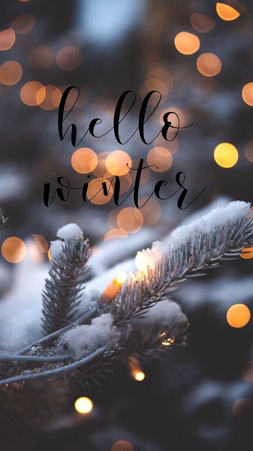 Hello Winter, Schriftzug, Tannenzweig, Bokeh, Schnee, Hintergrundbild für iPhone und Android
