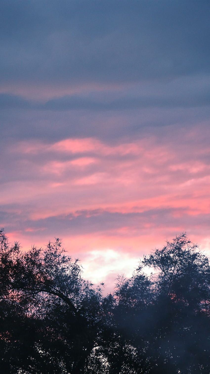 Abendhimmel, Rosa Wolken, Bäume, Dämmerung, Silhouette, iPhone 17, Wallpaper
