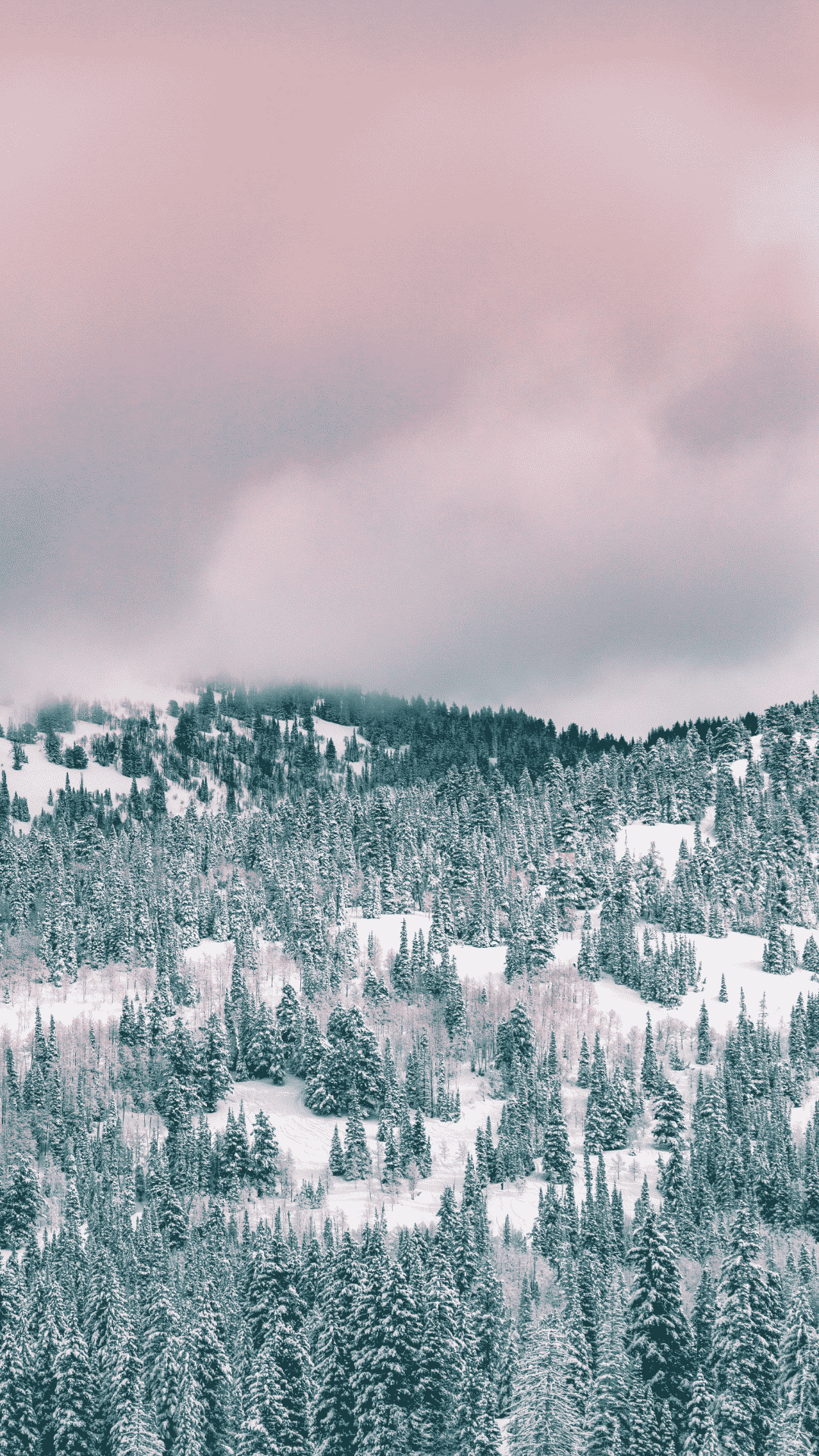 Verschneite Berge, Nadelwald, Rosa Himmel, Winterlandschaft, Wolken, Full HD, iPhone-Hintergrundbild