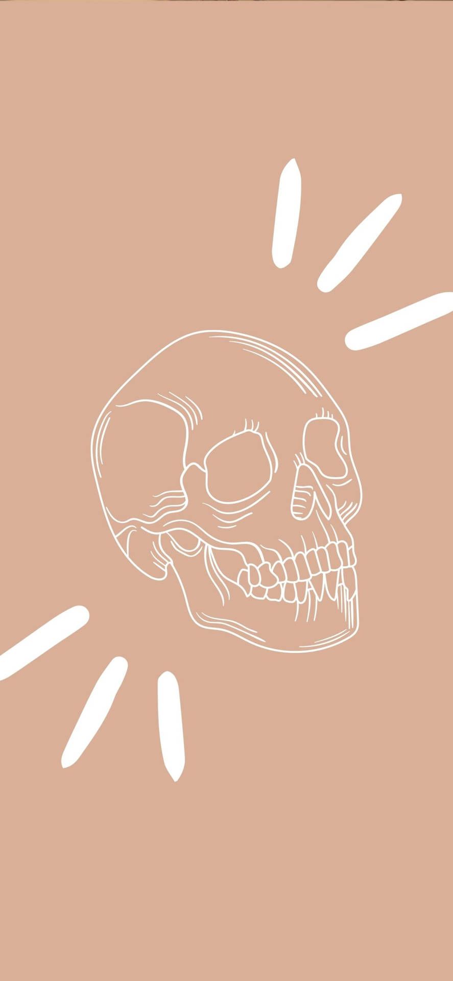 Totenkopf, Linienzeichnung, Minimalistisch, Terrakotta, HD, Handy-Hintergrund im Hochformat