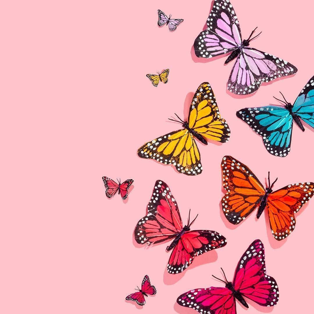 Bunte Schmetterlinge, Rosa Hintergrund, Regenbogenfarben, Illustration, Wallpaper