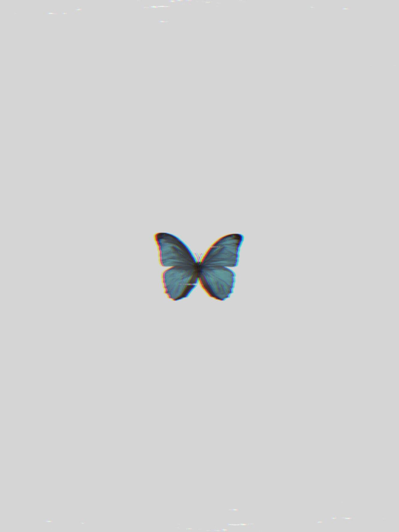 Schmetterling, Grauer Hintergrund, Minimalistisch, Full HD Wallpaper