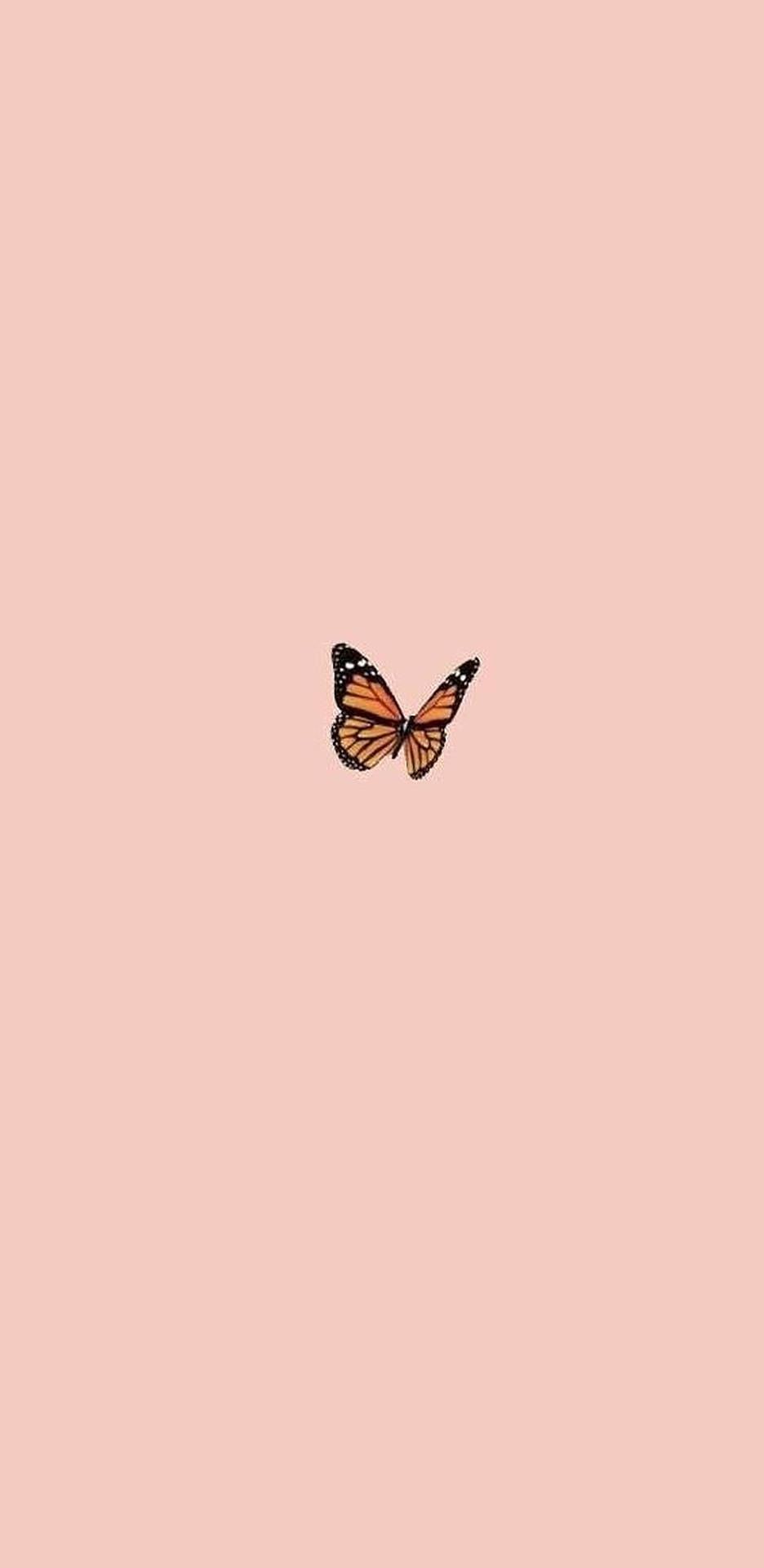 Schmetterling, Pfirsichrosa, Minimalistisch, HD, Handy-Hintergrund im Hochformat