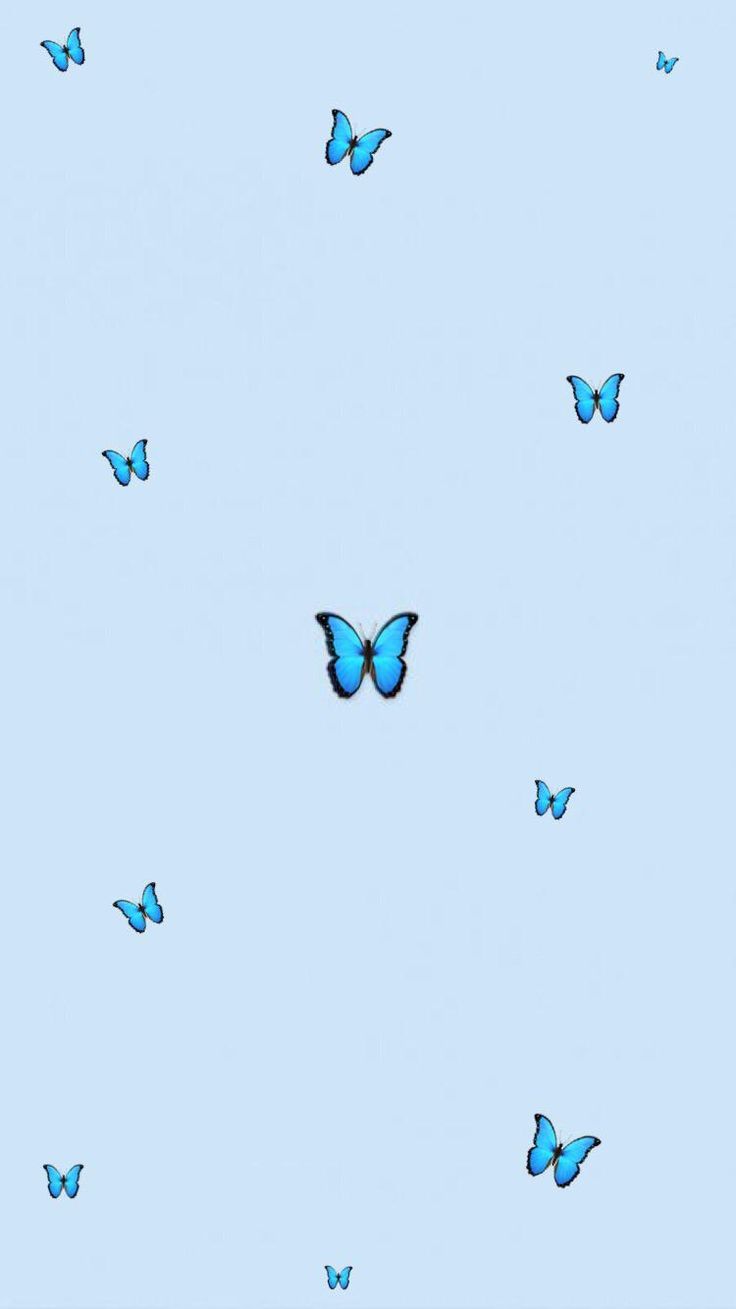 Blaue Schmetterlinge, Hellblau, Pastellfarben, HD, Handy-Hintergrund im Hochformat