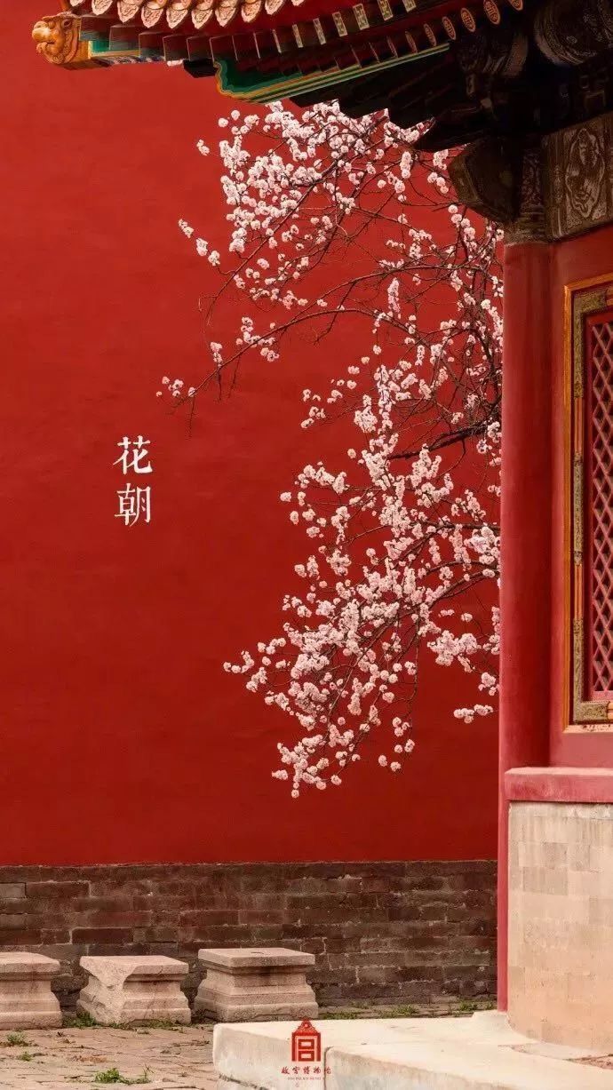 Rote Wand, Kirschblüten, Verbotene Stadt, Chinesische Schriftzeichen, Traditionell, Handy-Hintergrundbild