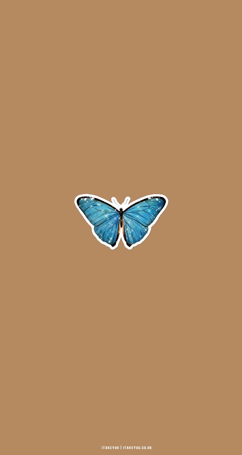 Blauer Schmetterling, Braun, Minimalistisch, Hintergrundbild für iPhone und Android