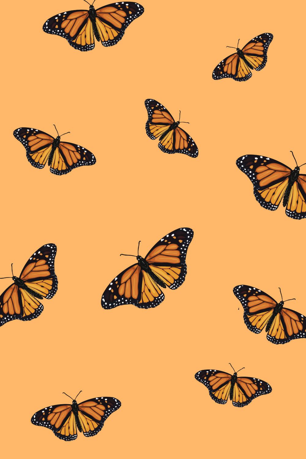 Monarchfalter, Muster, Orange Hintergrund, HD, Sperrbildschirm fürs iPhone