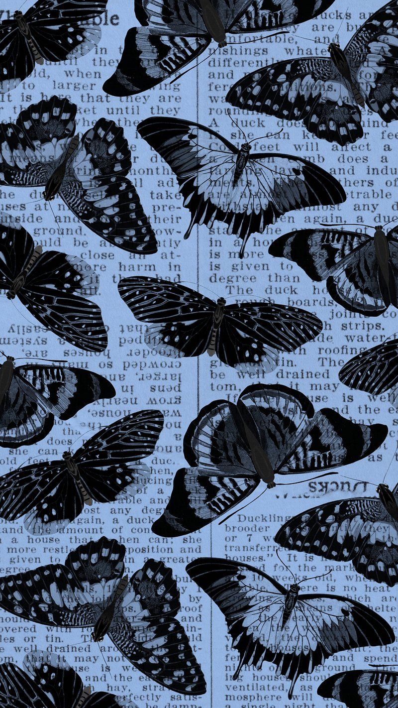 Schmetterlinge, Collage, Hellblau, Schwarz-Weiß, HD, Hintergrundbild fürs Handy